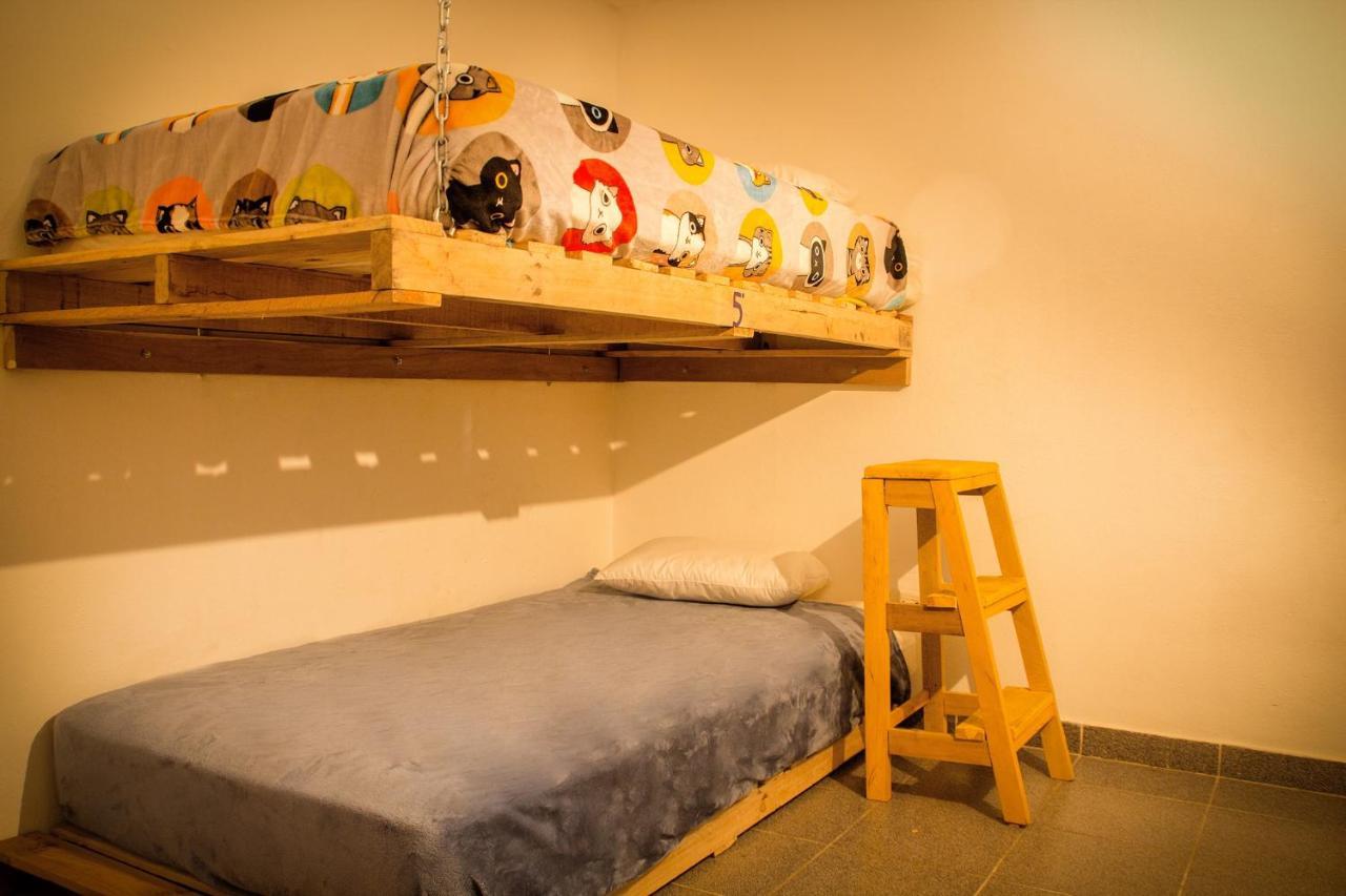 Bed in 6-Bed Dormitory Room